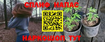 ПСИЛОЦИБИНОВЫЕ ГРИБЫ Коммунар